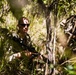 Balikatan 2026: 25th ID Jungle Training