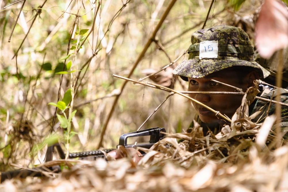 Balikatan 2026: 25th ID Jungle Training