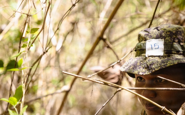 Balikatan 2026: 25th ID Jungle Training