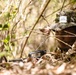 Balikatan 2026: 25th ID Jungle Training