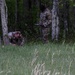 Region II Best Warrior competitors face range run, warrior tasks