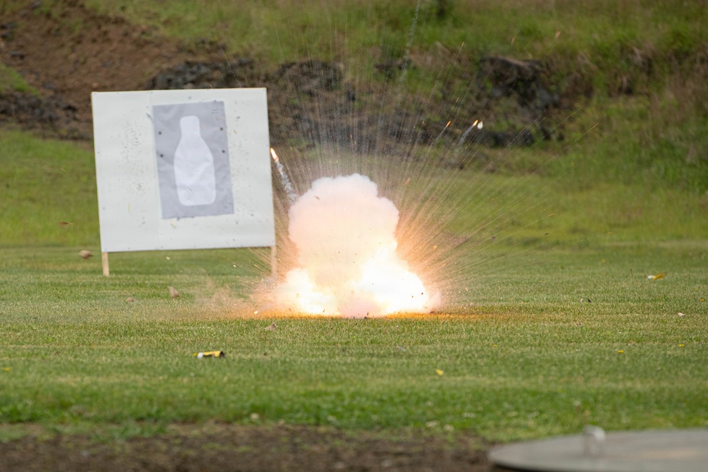Finalists from Delaware, Maryland, Pennsylvania, Virginia, Washington, D.C., and West Virginia participate in the Region II Best Warrior Competition.