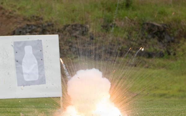 Finalists from Delaware, Maryland, Pennsylvania, Virginia, Washington, D.C., and West Virginia participate in the Region II Best Warrior Competition.