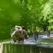2026 MDW Best Squad Competition