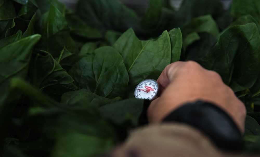KFOR RC-E Soldiers conduct food safety inspections at Camp Bondsteel