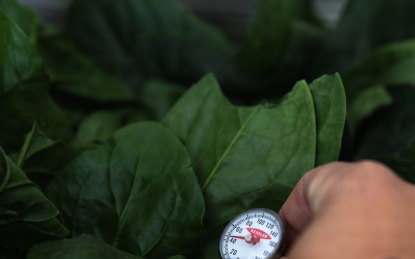 KFOR RC-E Soldiers conduct food safety inspections at Camp Bondsteel