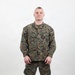 USMC Stock Photos