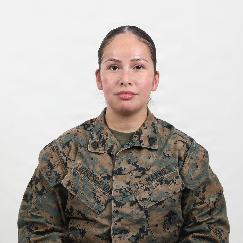 USMC Stock Photos