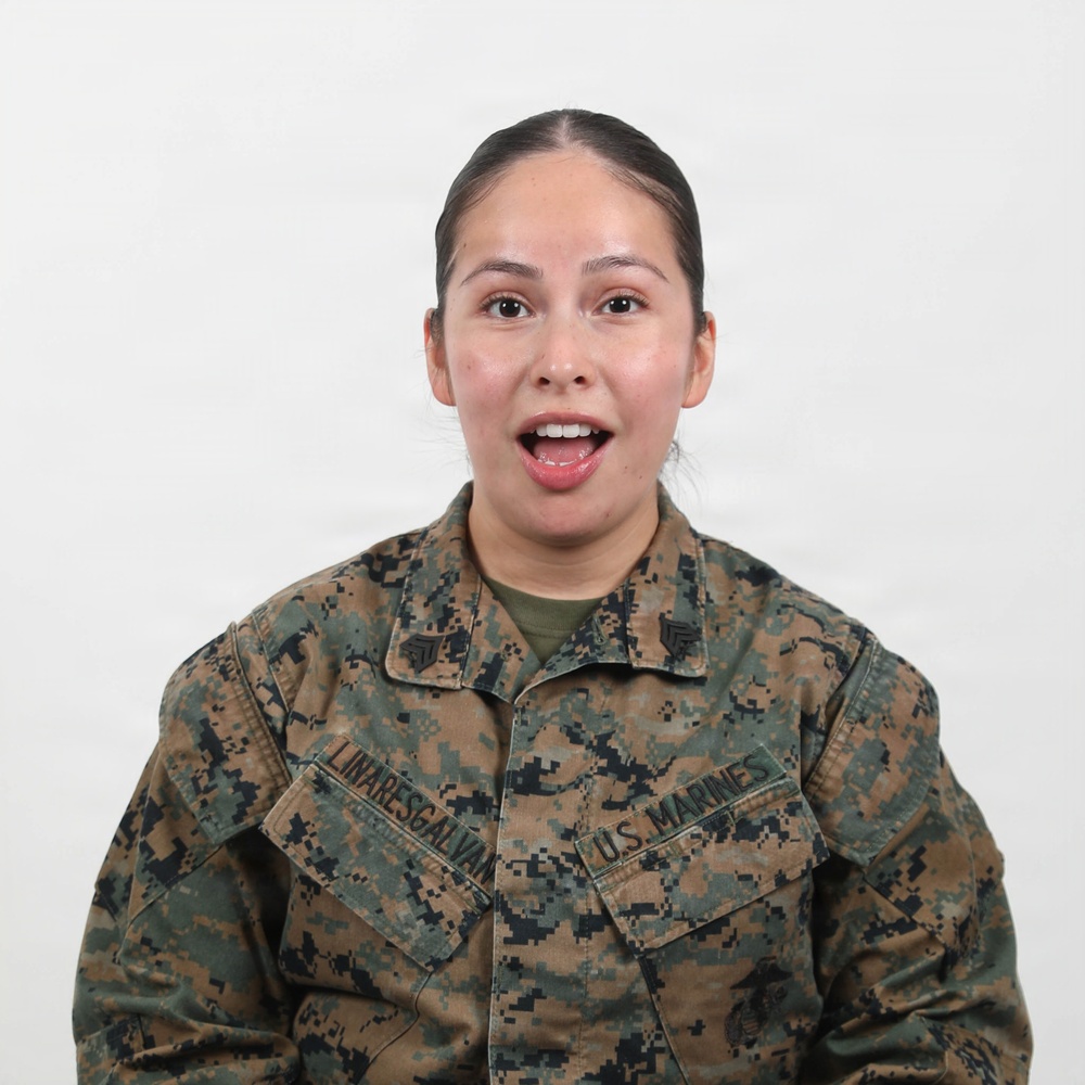 USMC Stock Photos