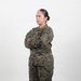 USMC Stock Photos