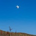 Thunderbirds fly over historic Route 66