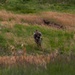 Region 2 Best Warrior Tactical Movement Lane