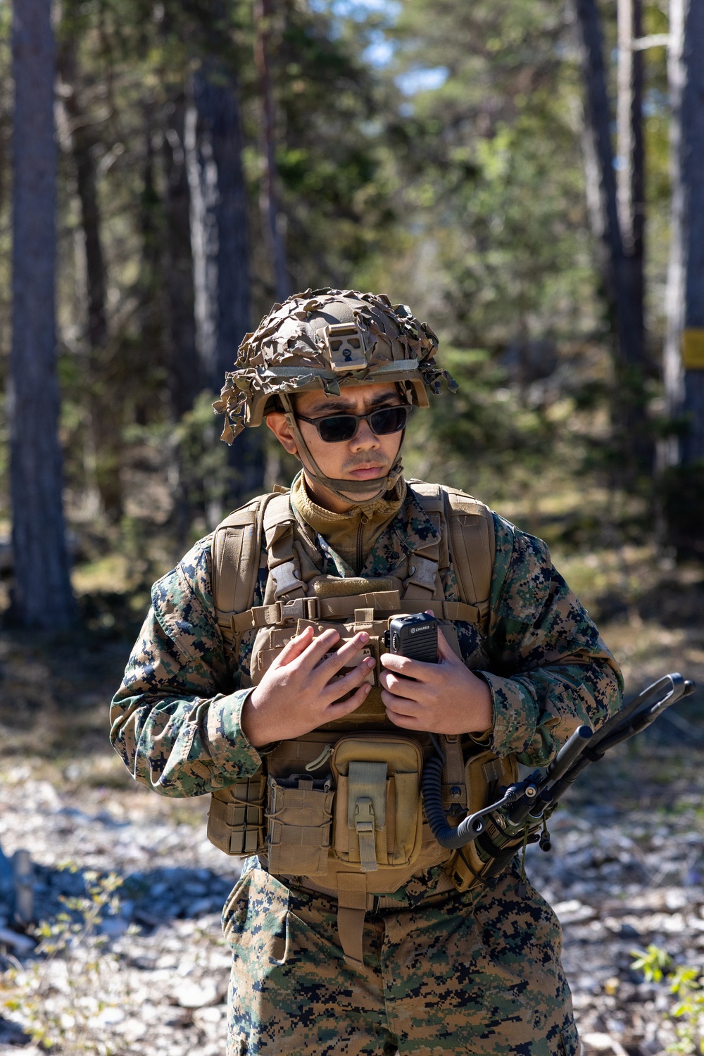 U.S. Marines, Airmen, Swedish Armed Forces execute dry-fire training with Finnish F-18s