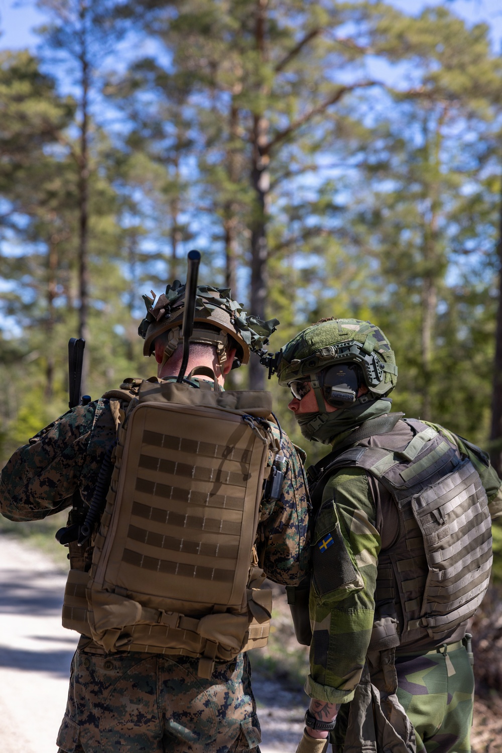 U.S. Marines, Airmen, Swedish Armed Forces execute dry-fire training with Finnish F-18s