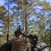 U.S. Marines, Airmen, Swedish Armed Forces execute dry-fire training with Finnish F-18s
