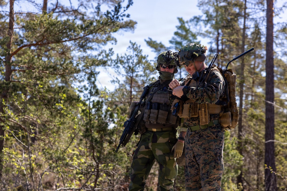 U.S. Marines, Airmen, Swedish Armed Forces execute dry-fire training with Finnish F-18s