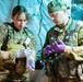 208th Medical Company Annual Training