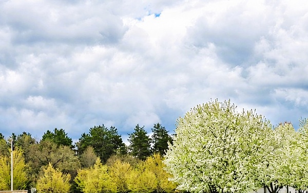 April views at Fort McCoy's historic Commemorative Area