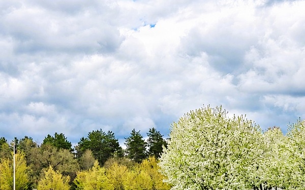 April views at Fort McCoy's historic Commemorative Area