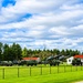 April views at Fort McCoy's historic Commemorative Area