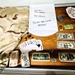 Artifacts from 617th Military Police Company time capsule discovered at Fort McCoy now on display at Fort McCoy History Center