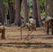 Balikatan 2026: Philippines JOTC Rope Test