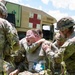 208th Medical Company Annual Training