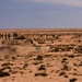 African Lion 26 counterattack lane validates emerging breach tactics with robotic systems