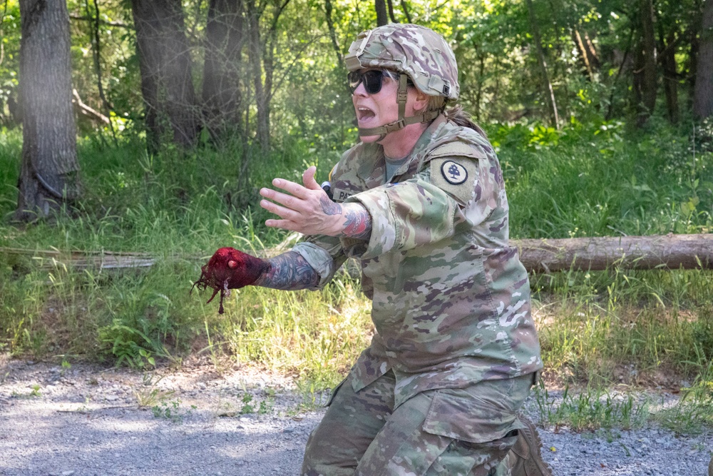 208th Medical Company Annual Training