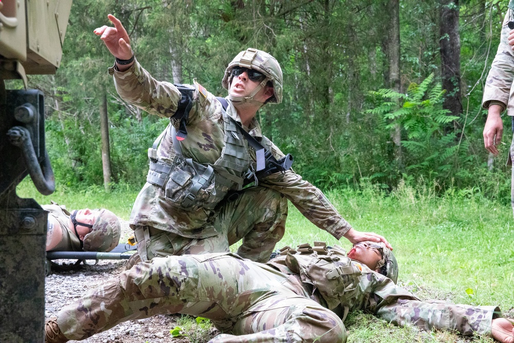 208th Medical Company Annual Training