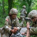 208th Medical Company Annual Training