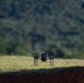 12th LCT Fires &amp; Recon Execute Neros Archer Attack Drone Training