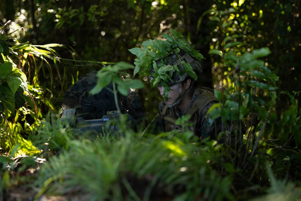 12th LCT Fires &amp; Recon Execute Neros Archer Attack Drone Training