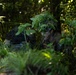 12th LCT Fires &amp; Recon Execute Neros Archer Attack Drone Training
