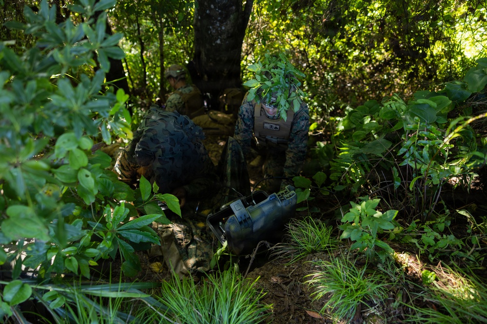 12th LCT Fires &amp; Recon Execute Neros Archer Attack Drone Training