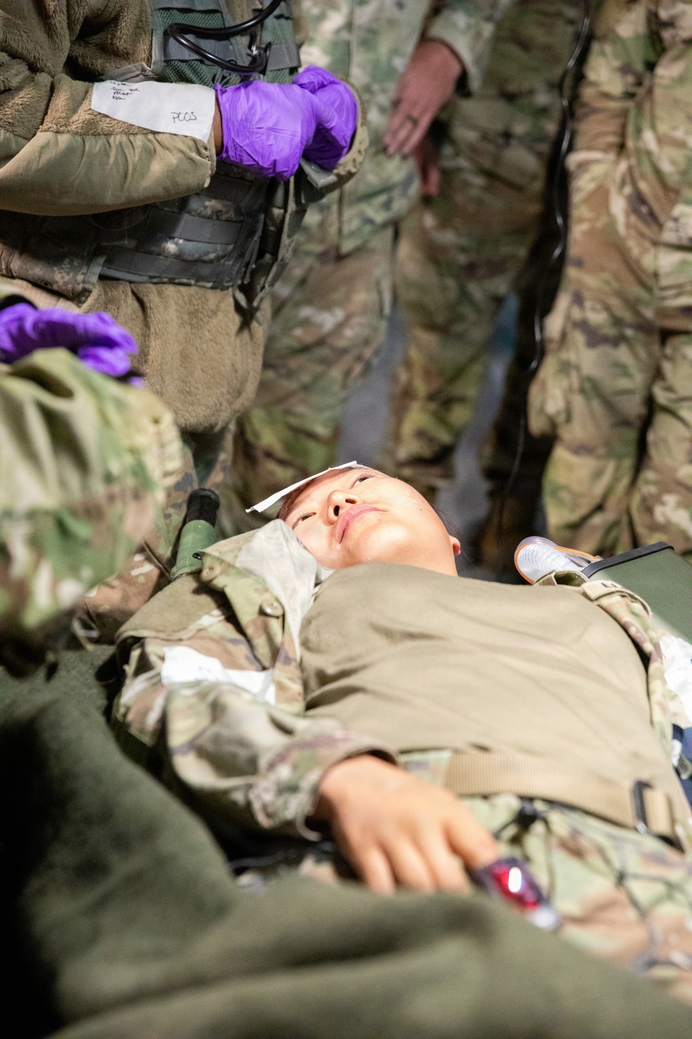 208th Medical Company Annual Training