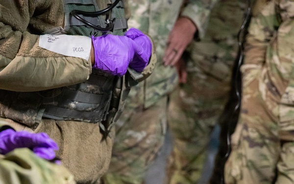208th Medical Company Annual Training