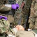 208th Medical Company Annual Training