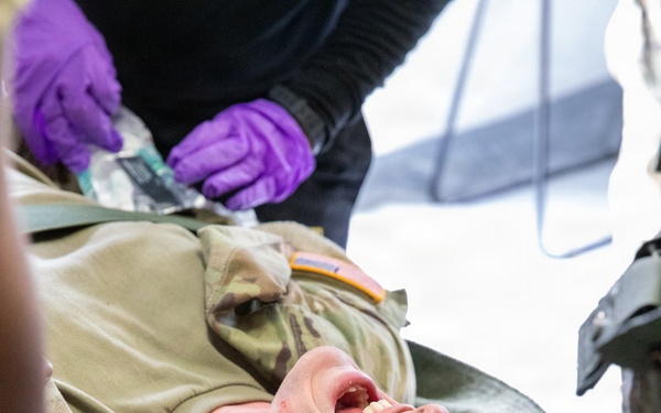 208th Medical Company Annual Training