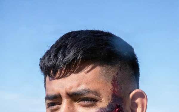 208th Medical Company Annual Training