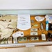 Artifacts from 617th Military Police Company time capsule discovered at Fort McCoy now on display at Fort McCoy History Center