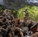 Balikatan 2026: U.S. Marines receive jungle warfare training