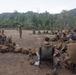Balikatan 2026: U.S. Marines receive jungle warfare training