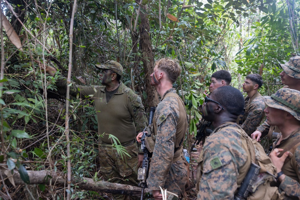 Balikatan 2026: U.S. Marines receive jungle warfare training