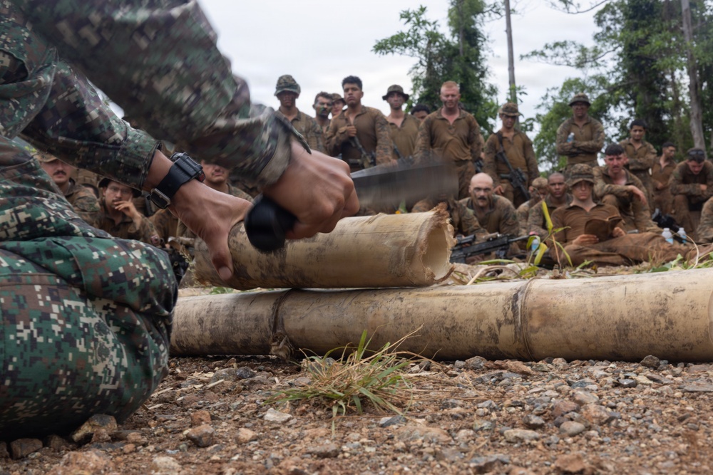 Balikatan 2026: U.S. Marines receive jungle warfare training