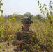 2nd Bn, 27th Inf. Regt. conduct live-fire exercise