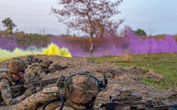 2nd Bn, 27th Inf. Regt. conduct live-fire exercise