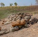 2nd Bn, 27th Inf. Regt. conduct live-fire exercise