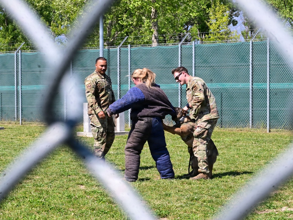 Aviano AB Wing chief tours K9 Unit