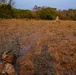 2nd Bn, 27th Inf. Regt. conduct live-fire exercise